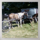 Pesquisar por pinto cavalo pôsteres pósteres Amish
