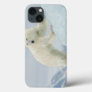 Pesquisar por ipad do urso polar Superstock