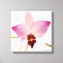 Pesquisar por orquídea roxa impressão de canvas Florais
