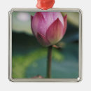 Pesquisar por flor de lótus ornamentos Folha