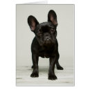 Pesquisar por fundo cinzento cartoes postais Um animal