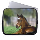 Pesquisar por puro capas Animal