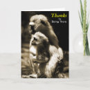 Pesquisar por appreciation cartoes Thanks