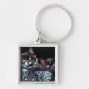 Pesquisar por do recipiente chaveiros Horizontal