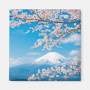 Pesquisar por flor de cerejeira imas Monte fuji