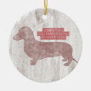 Pesquisar por teckel Doxie
