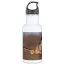 Pesquisar por coruja garrafa agua Pássaro