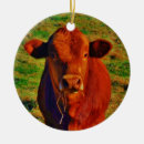 Pesquisar por cow ornamentos Touro