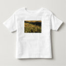 Pesquisar por sonoran camisetas Eua