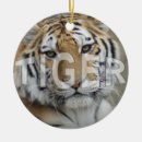 Pesquisar por gato grande ornamentos Animais