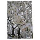 Pesquisar por flores da neve Qualquer pessoa