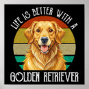 Pesquisar por golden retriever engraçado pôsteres pósteres Cães