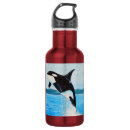 Pesquisar por golfinhos garrafa agua Oceano