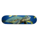 Pesquisar por variado skates Verde