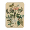 Pesquisar por o visual imas Animais