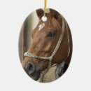 Pesquisar por cavalo árabe ornamentos Eqüino