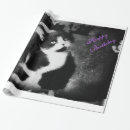 Pesquisar por terno preto papel de presente Felino