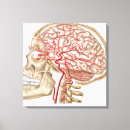 Pesquisar por a anatomia dos ossos impressão de canvas Partes do corpo humano