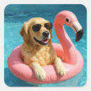 Pesquisar por inflável adesivos Piscina