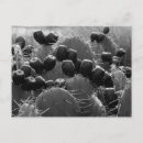 Pesquisar por candy cartoes postais Qualquer pessoa