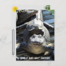 Pesquisar por jacaré cartoes postais Réptil