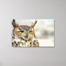 Pesquisar por curiosidade impressão de canvas Animais selvagens