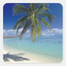 Pesquisar por bora do bora adesivos Palmeira