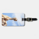 Pesquisar por primata bagagem tags Animais