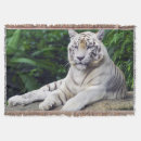 Pesquisar por tigre branco mantas Qualquer pessoa