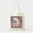 Pesquisar por westie bolsas Branco
