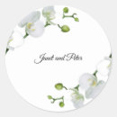 Pesquisar por orquídea branca adesivos Para eles