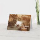 Pesquisar por gato sonolento cartoes Felino