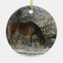 Pesquisar por cavalo mustang de natal decoração Neve