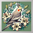 Pesquisar por cockatiel pôsteres pósteres Animal