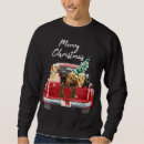 Pesquisar por christmas moletons com capuz Melhor venda