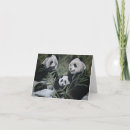 Pesquisar por panda preto e branco cartoes Natureza