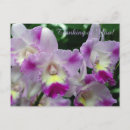 Pesquisar por orquídeas roxas cartoes postais Orquídea roxa