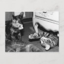 Pesquisar por gato divertido cartoes postais Gatinho