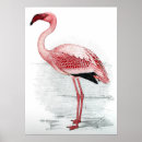 Pesquisar por retro flamingo pôsteres pósteres Tropical