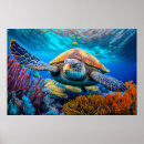Pesquisar por tartarugas de mar fotografia Natureza