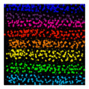 Pesquisar por listras do arco íris pôsteres pósteres Colorido