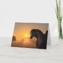 Pesquisar por cavalo preto cartoes Cavalos
