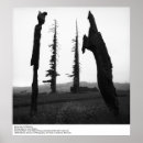 Pesquisar por ansel adams pôsteres pósteres Califórnia