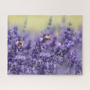 Pesquisar por lavanda quebra cabecas Floral