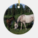 Pesquisar por árabes ornamentos Equestre