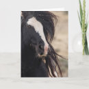 Pesquisar por cavalos selvagens mustang cartoes Vida selvagem