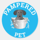 Pesquisar por pet care Fofo