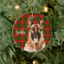 Pesquisar por german shepherd ornamentos Verde