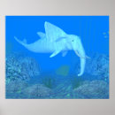 Pesquisar por baleias e golfinhos pôsteres pósteres Animais