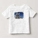 Pesquisar por san juan velho camisetas Cidade